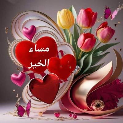 محمود المندور