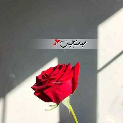 ام محمد