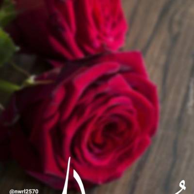 Mohd_sms87 Sid ahmed