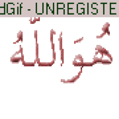 01119629739 01119629739
