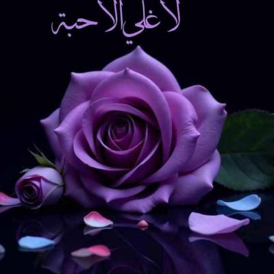باسم باسم باسم باسم باسم