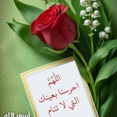 Moha Sudan