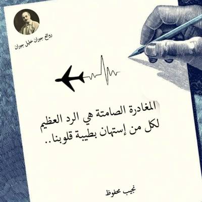 حسام الدين محمود