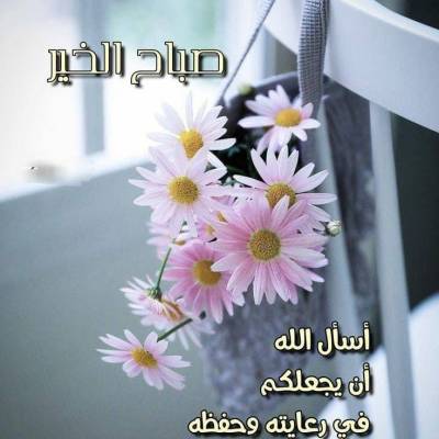 Ashraf Medo