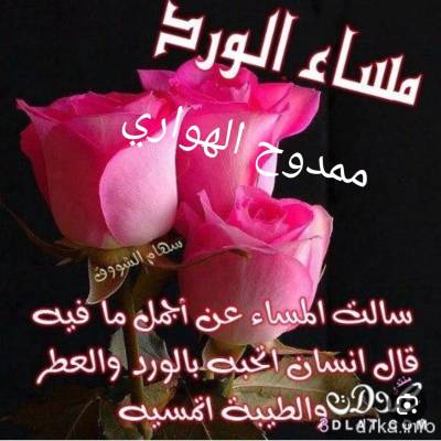 ممدوح علي