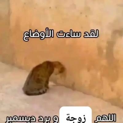 Abdulrahman 22