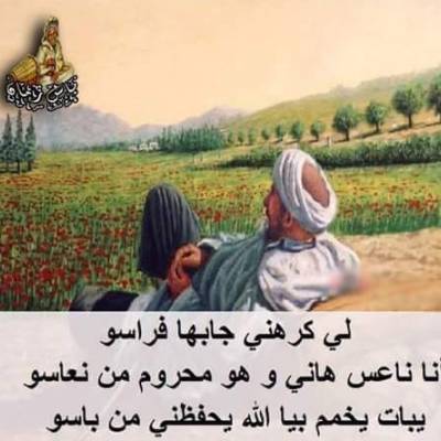 Mostafa zadri