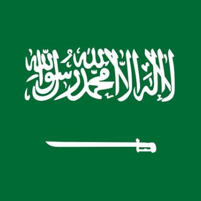 Hisham1 s