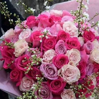 Ayman Ahmed