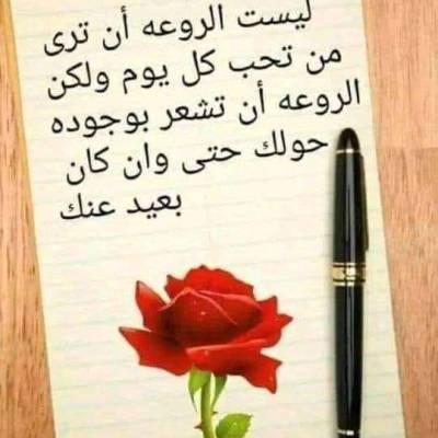وليد دياب