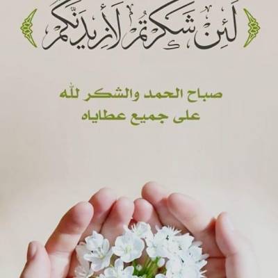 الباحث الباحث