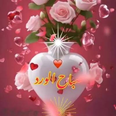 Tarek Tarek