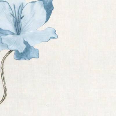 نايف احتواء