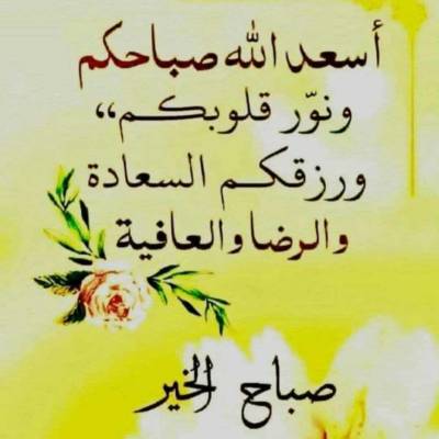 Hossam aly Taybani77