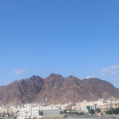 عفة وشهامه شهامه