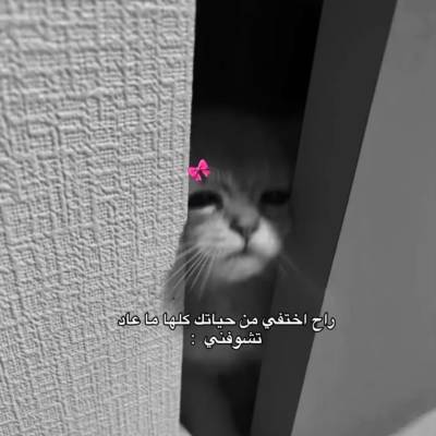 مريم المرزوقي