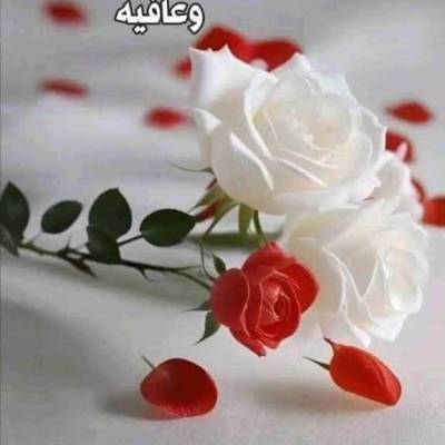 رقية ستر الله