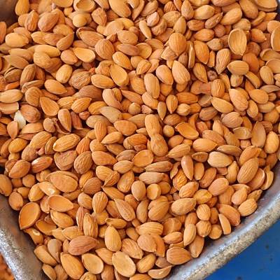 Mohammed1122 Mohammed1122