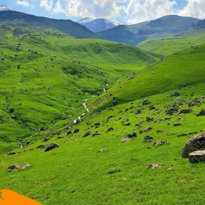 سعد المهندس