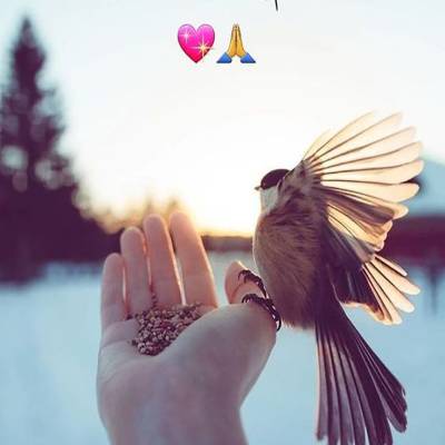 عادل العتيبي