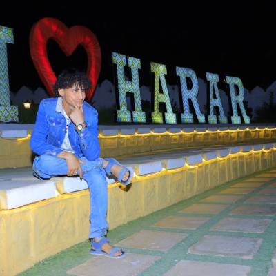 محمد العماد